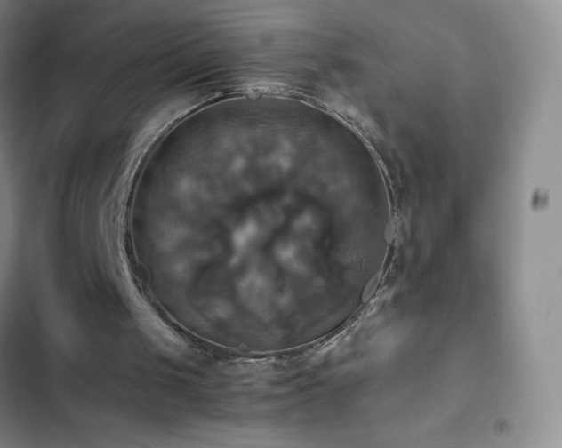 X0000102840049200808181357