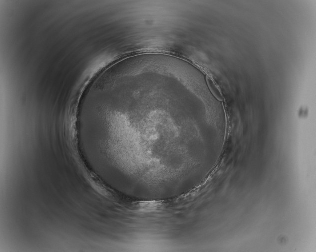 X0000102840050200808181357