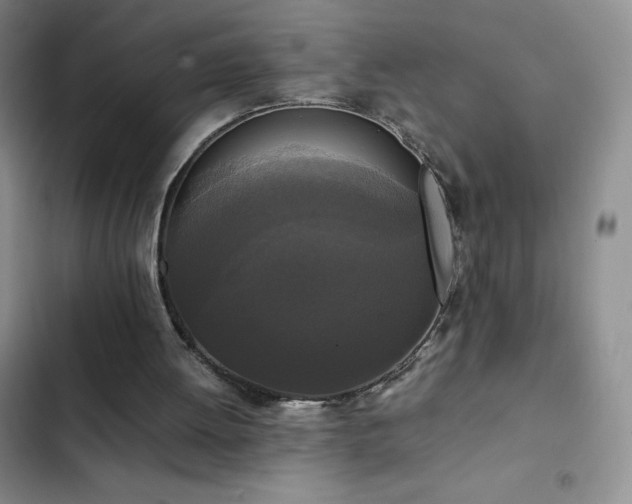 X0000102840052200808181357