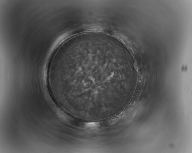 X0000102840053200808181357