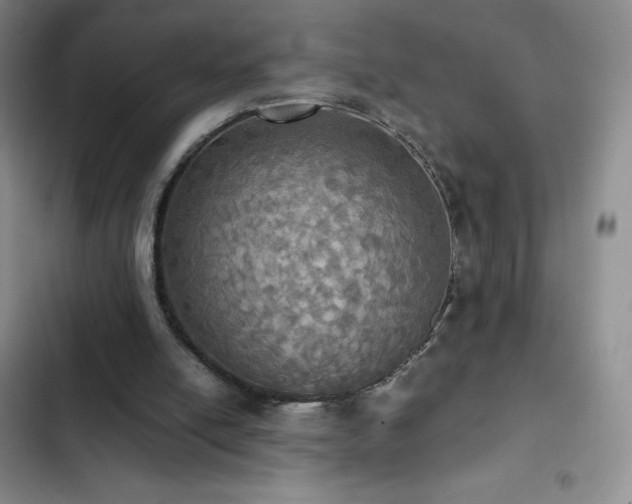 X0000102840054200808181357