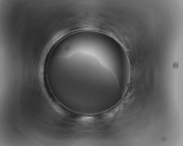 X0000102840055200808181357