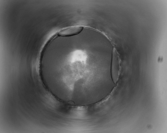 X0000102840056200808181357