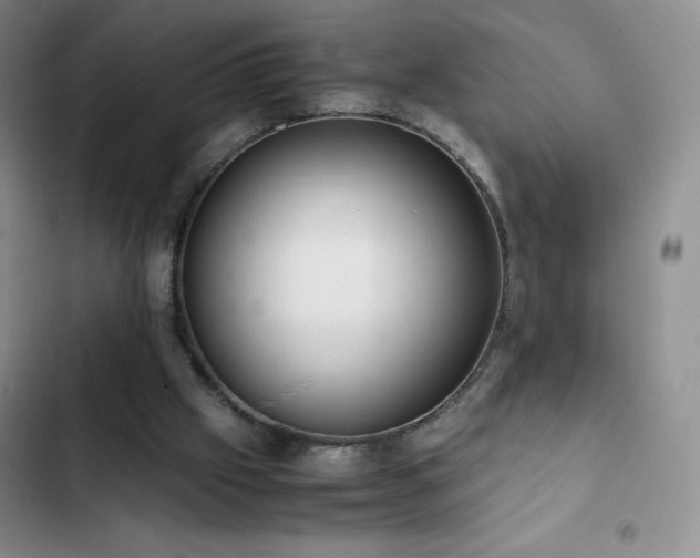 X0000102840057200808181357