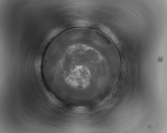 X0000102840058200808181357