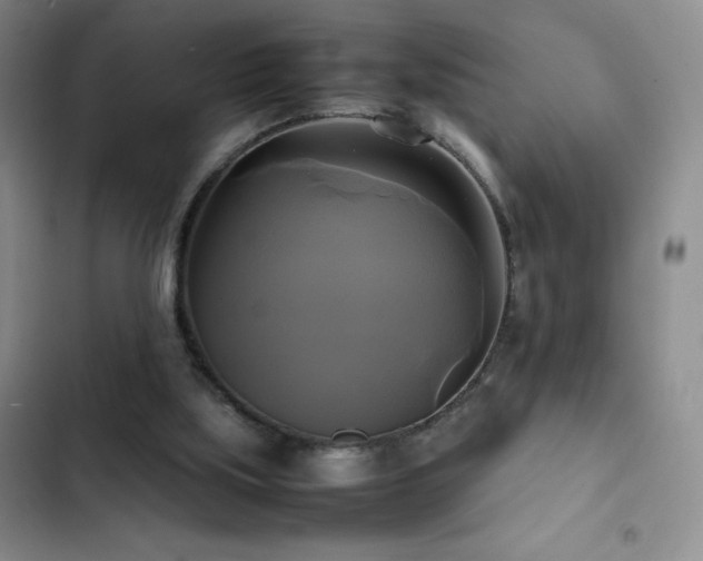 X0000102840059200808181357