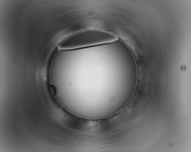 X0000102840060200808181357