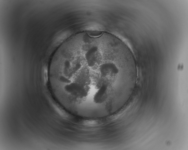 X0000102840061200808181357