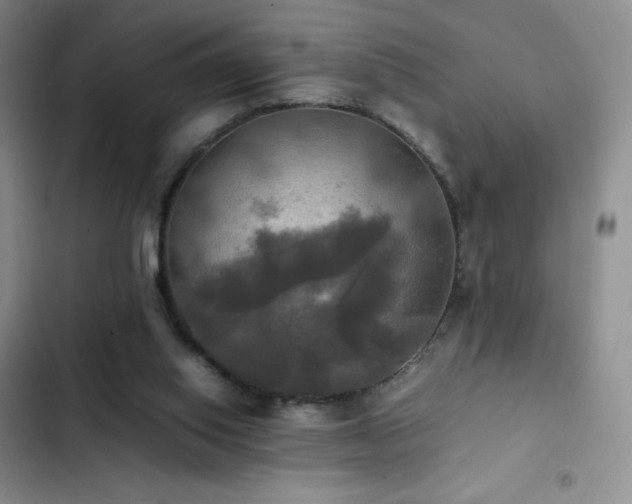 X0000102840062200808181357