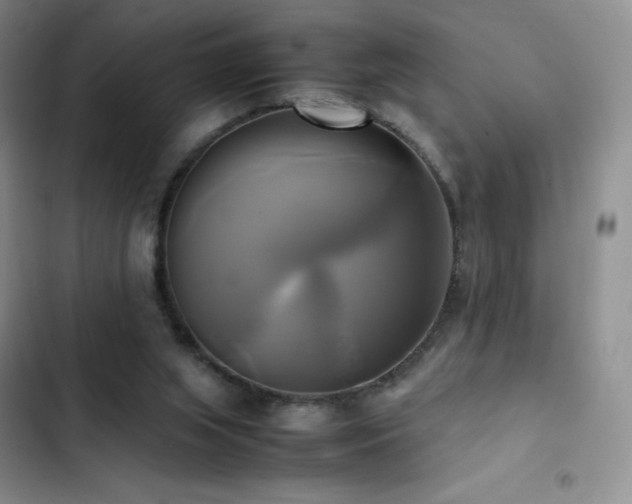 X0000102840063200808181357