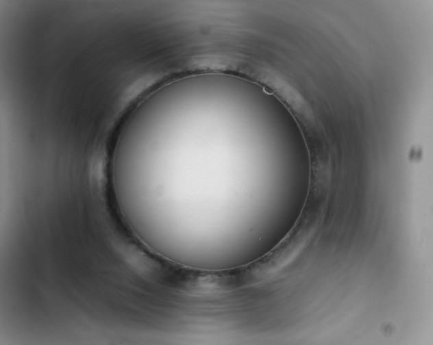 X0000102840064200808181358