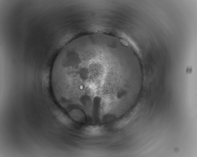 X0000102840065200808181358