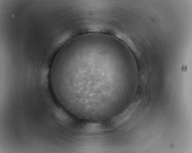 X0000102840066200808181358