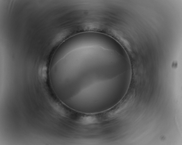 X0000102840067200808181358