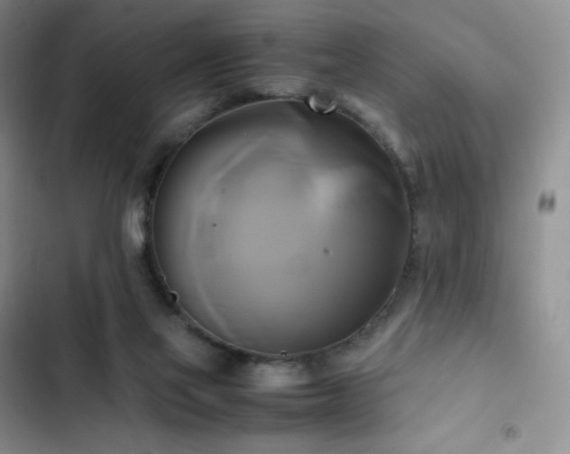 X0000102840069200808181358