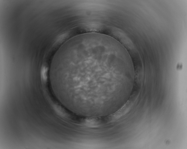 X0000102840070200808181358