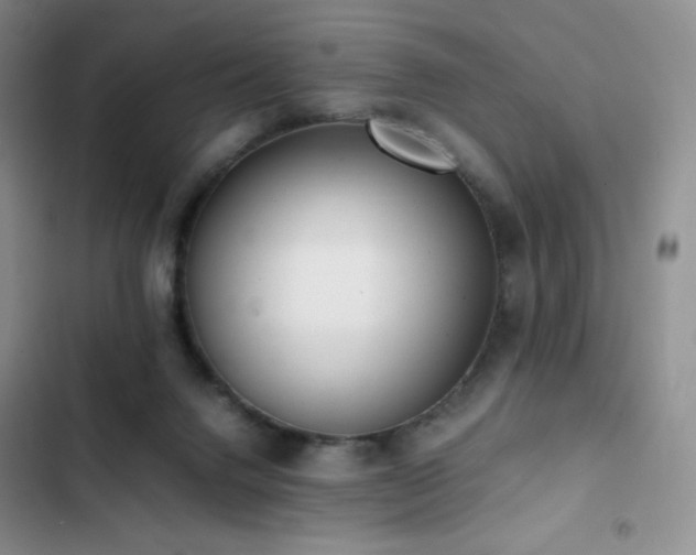 X0000102840072200808181358