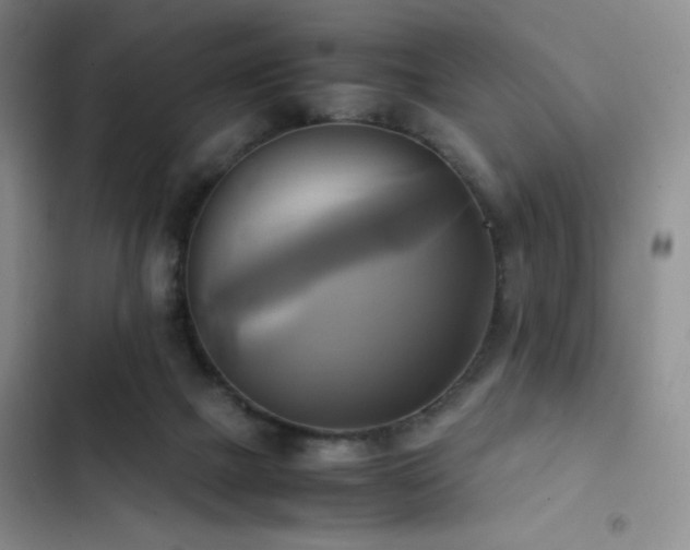 X0000102840073200808181358