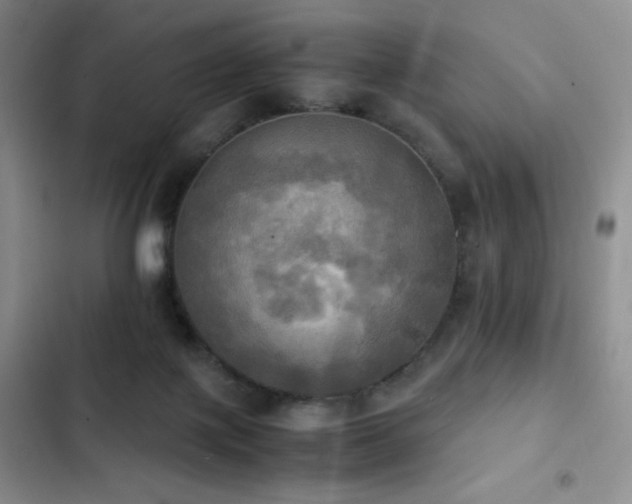 X0000102840075200808181358