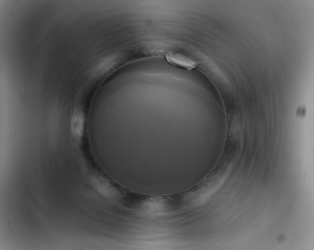 X0000102840076200808181358