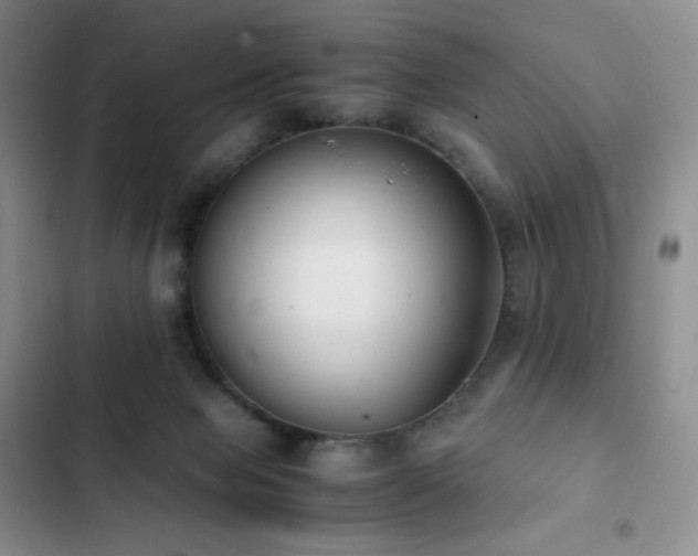 X0000102840077200808181358