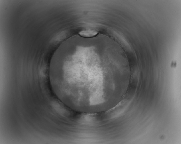 X0000102840078200808181358