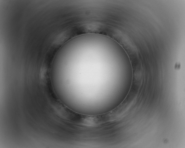 X0000102840079200808181358