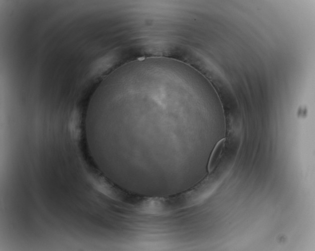 X0000102840080200808181358