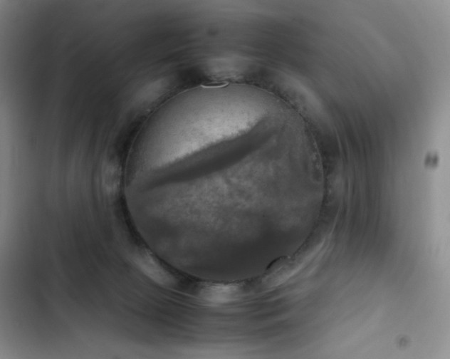 X0000102840081200808181358