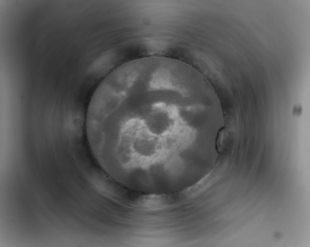 X0000102840082200808181358