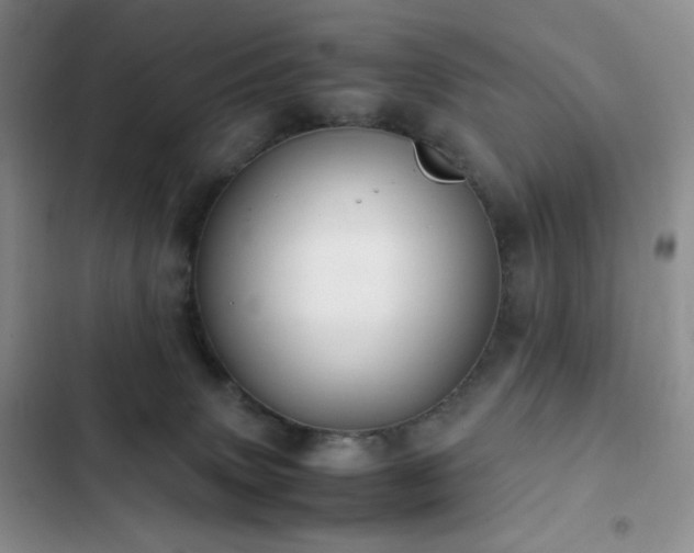 X0000102840083200808181358