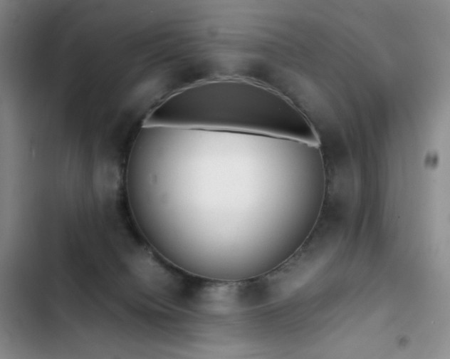 X0000102840084200808181358