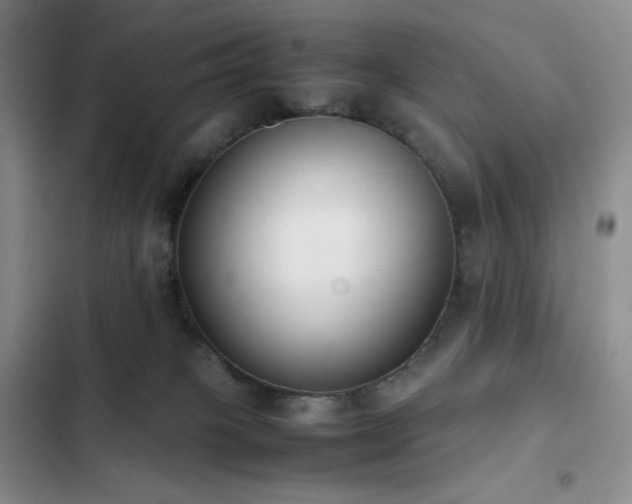 X0000102840085200808181358