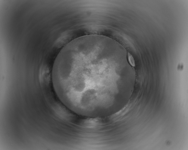 X0000102840086200808181358