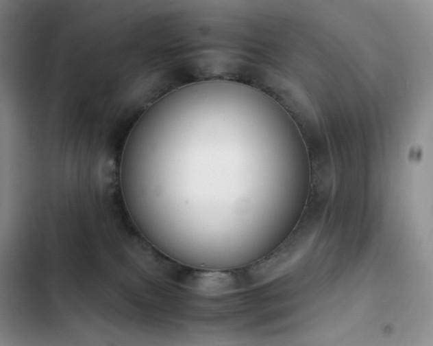 X0000102840087200808181358