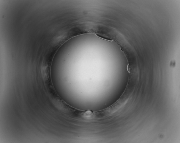 X0000102840088200808181358