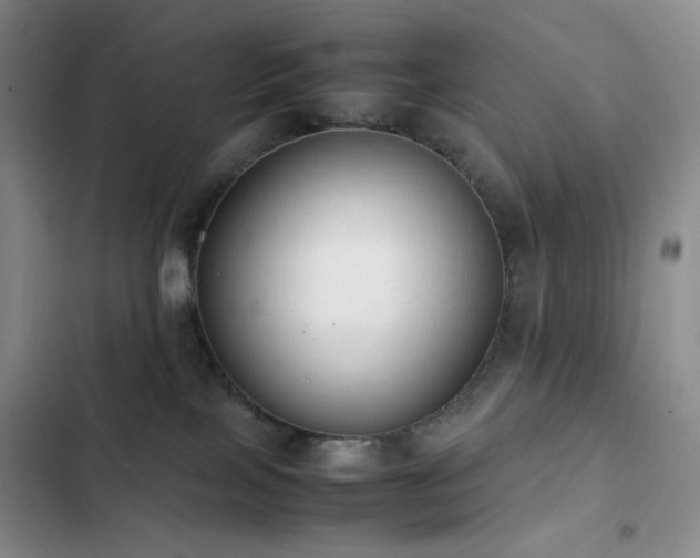 X0000102840089200808181358