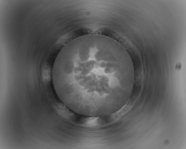 X0000102840090200808181358