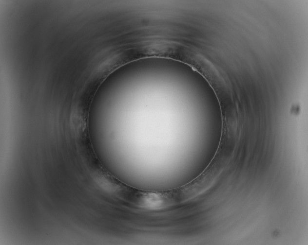 X0000102840091200808181358