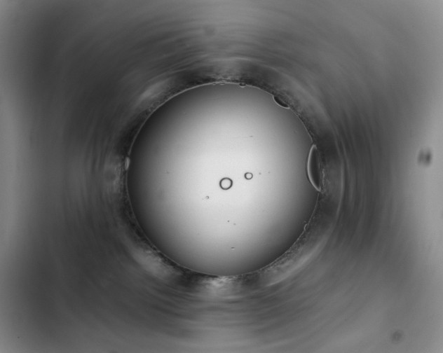 X0000102840092200808181358