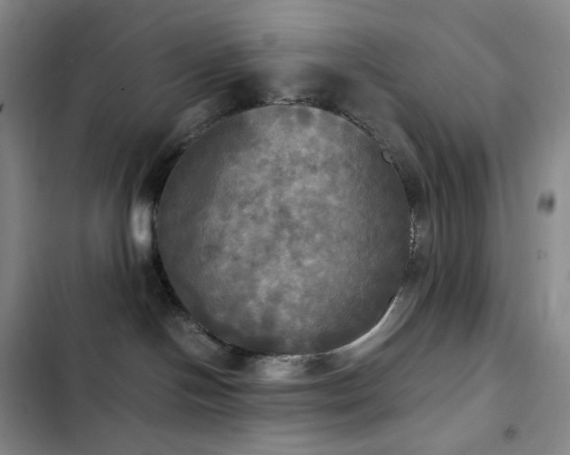 X0000102840094200808181358