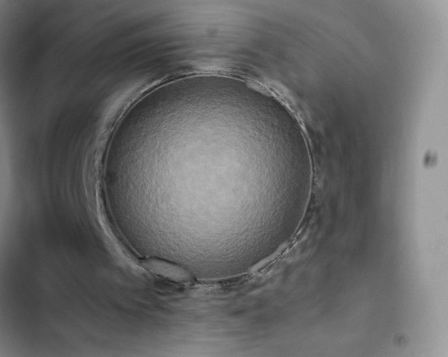 X0000102840097200808181357