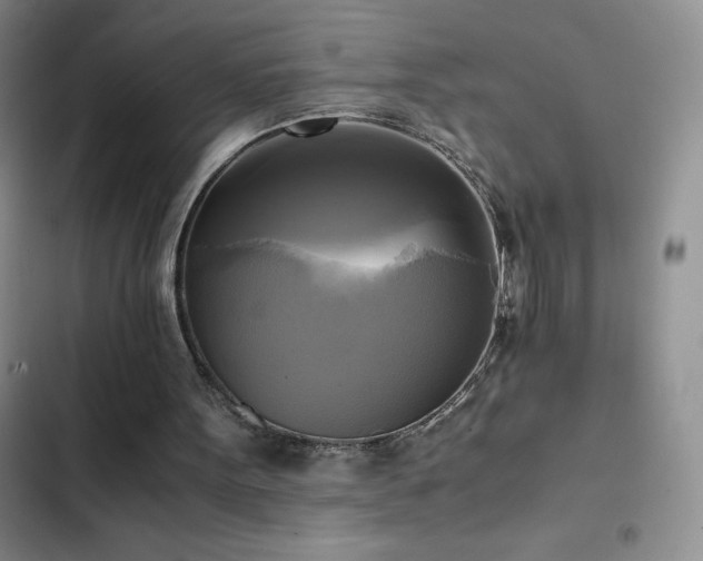 X0000102840099200808181357