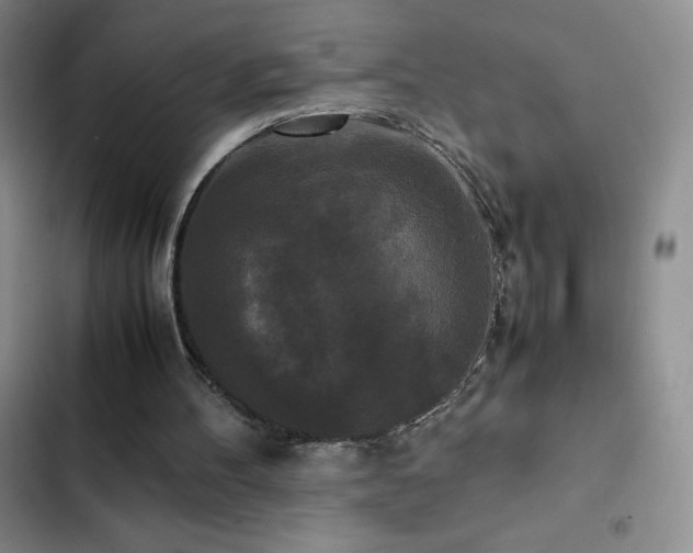 X0000102840100200808181357