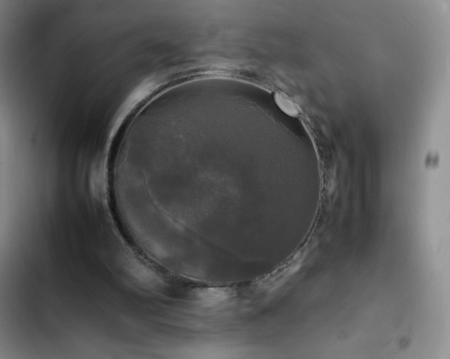 X0000102840102200808181357