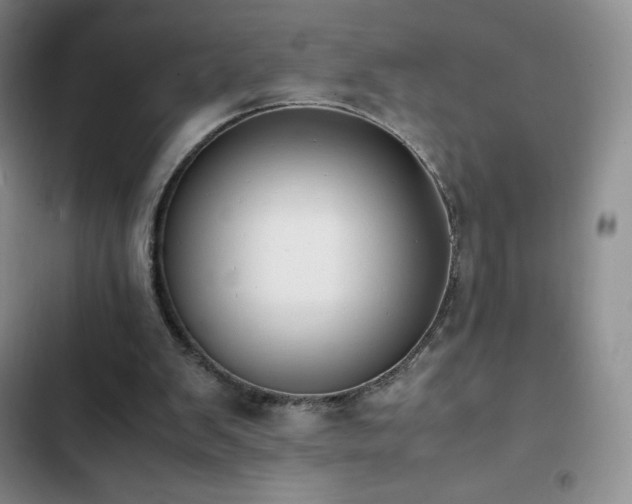 X0000102840103200808181357