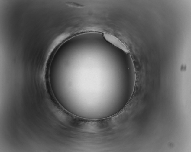 X0000102840104200808181357