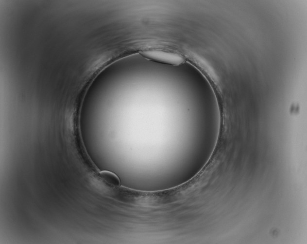 X0000102840105200808181357