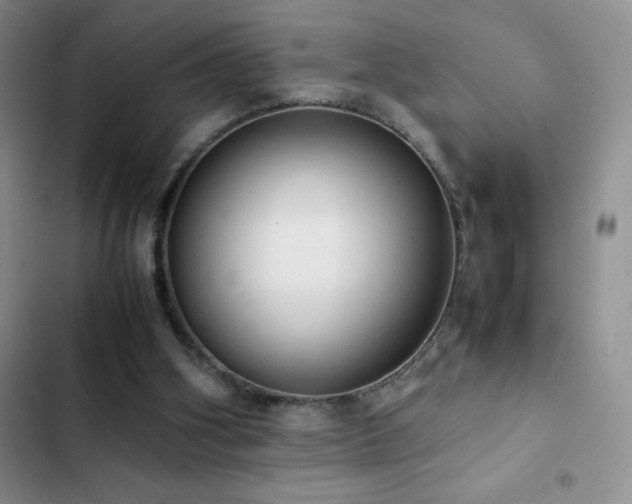 X0000102840106200808181357