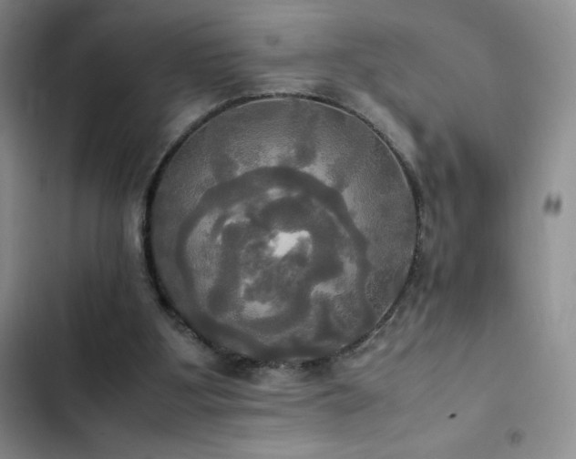 X0000102840107200808181357